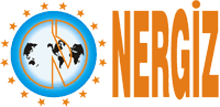 NERGİS - logo
